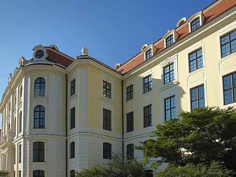 Fotos Stadtmuseum | Dresden