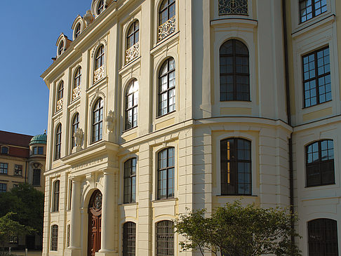 Fotos Stadtmuseum | Dresden