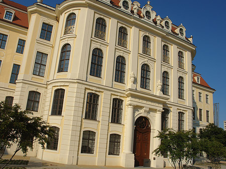 Foto Stadtmuseum - Dresden