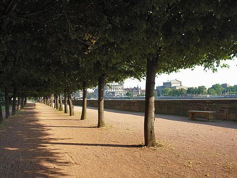 Weg an der Elbe Foto 