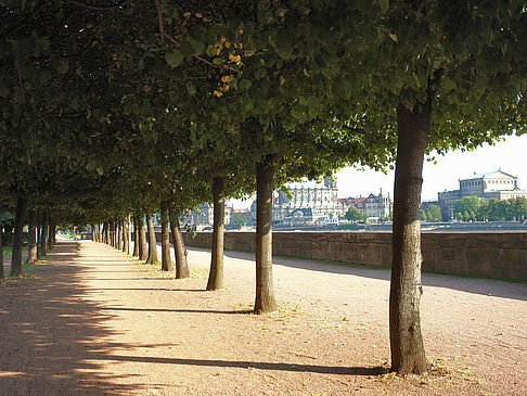 Weg an der Elbe