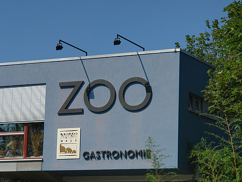 Zoo