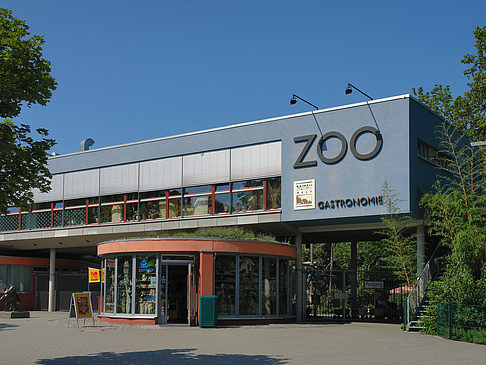 Zoo Foto 