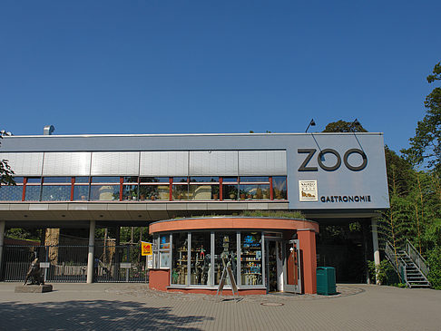 Foto Zoo - Dresden
