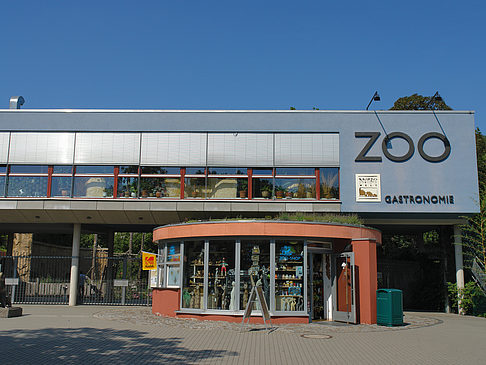 Foto Zoo - Dresden