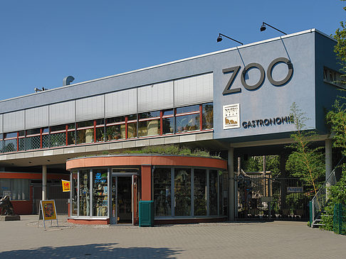 Zoo Foto 