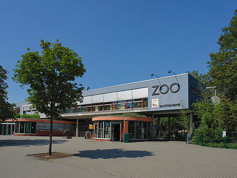 Zoo Foto 