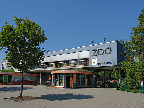Zoo