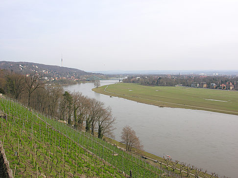 Fotos Elbe | Dresden