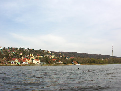 Foto Elbe - Dresden