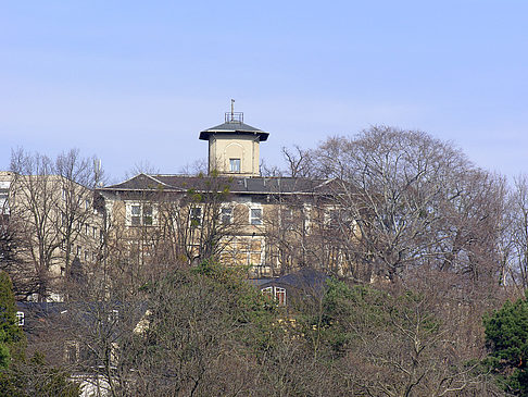 Foto Elbufer - Dresden