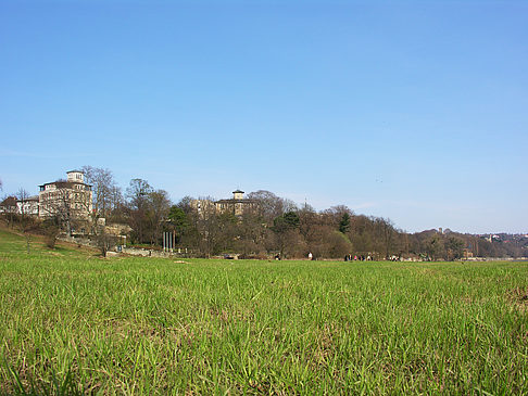 Elbufer Foto 