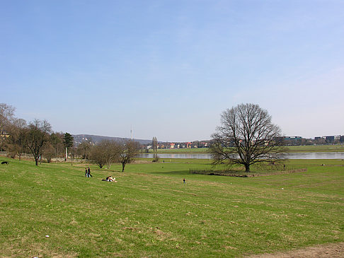 Elbufer