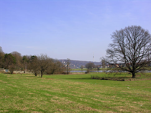Foto Elbufer