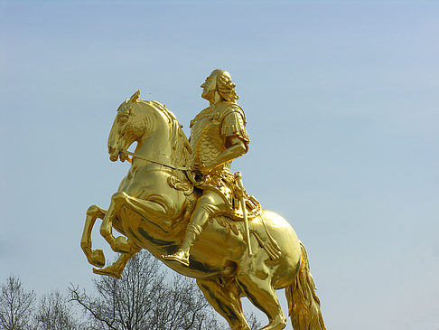 Goldener Reiter Foto 